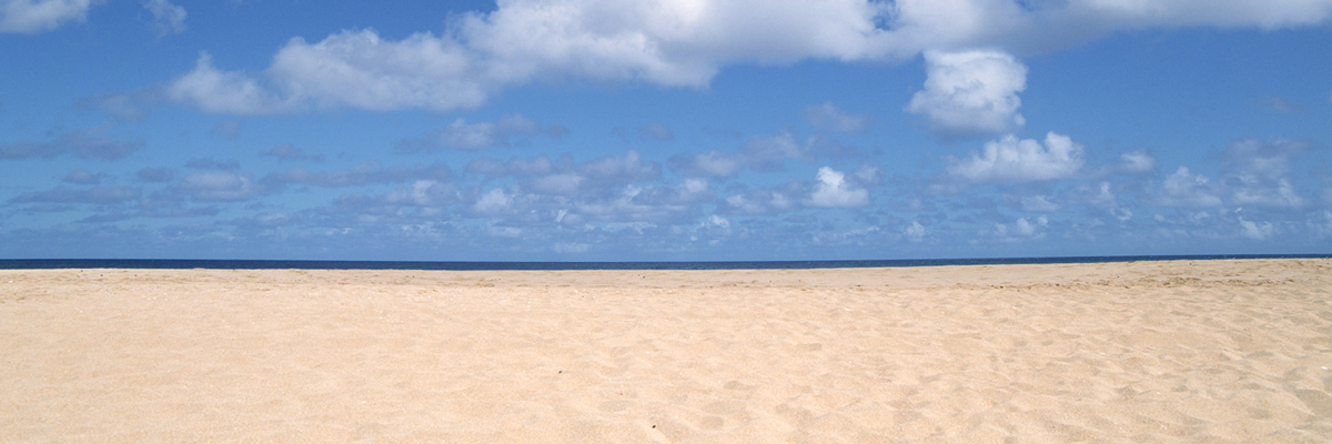 新宿でおすすめのカフェ5選